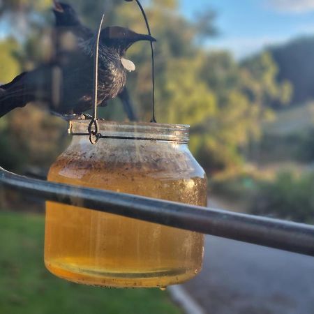 Catlins Lake Sanctuary Owaka Екстериор снимка