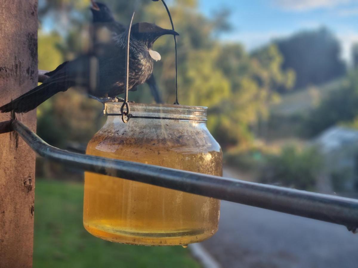 Catlins Lake Sanctuary Owaka Екстериор снимка